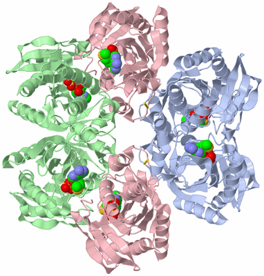 Image Biological Unit 1