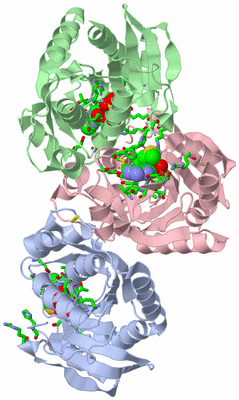 Image Asym. Unit - sites