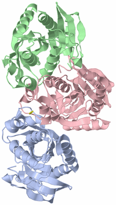 Image Asymmetric Unit