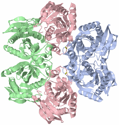 Image Biological Unit 1