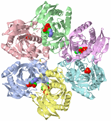 Image Asym./Biol. Unit