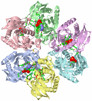 Image Asym./Biol. Unit - sites