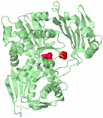 Image Biological Unit 2