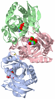 Image Asymmetric Unit