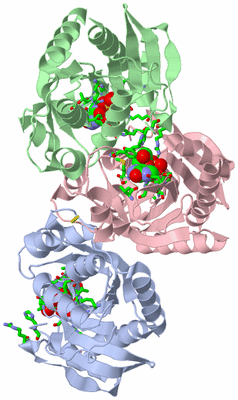 Image Asym. Unit - sites