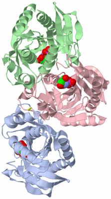 Image Asymmetric Unit