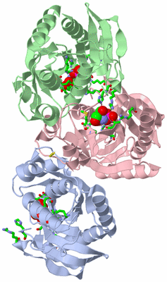 Image Asym. Unit - sites