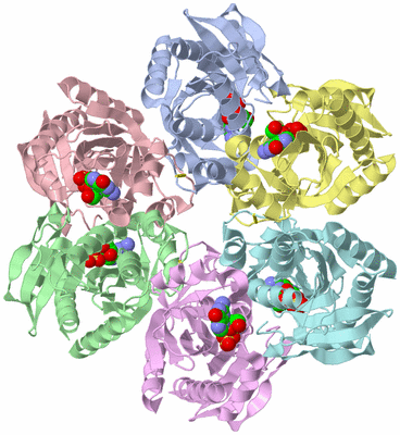 Image Asym./Biol. Unit