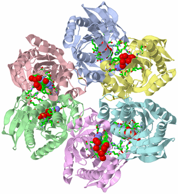 Image Asym./Biol. Unit - sites