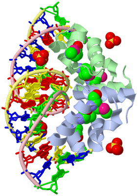 Image Biological Unit 1