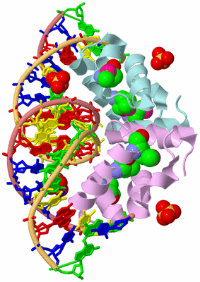 Image Biological Unit 2