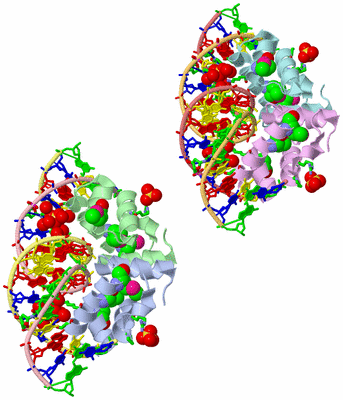 Image Asym. Unit - sites