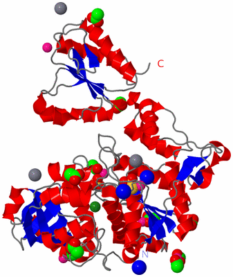 Image Asymmetric Unit