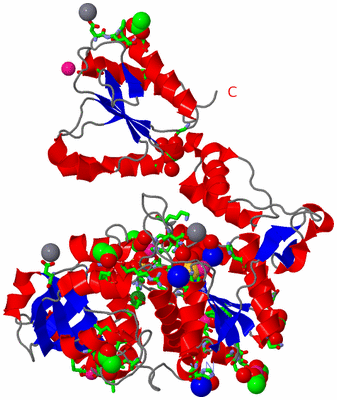 Image Asym. Unit - sites