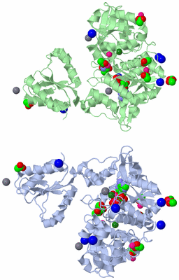 Image Asymmetric Unit