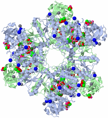 Image Biological Unit 1