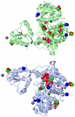 Image Asymmetric Unit