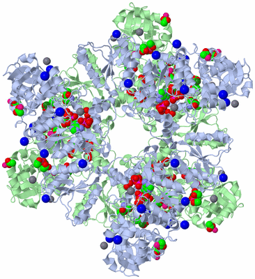 Image Biological Unit 1
