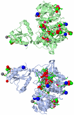 Image Asym. Unit - sites