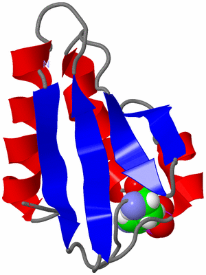 Image NMR Structure - model 1