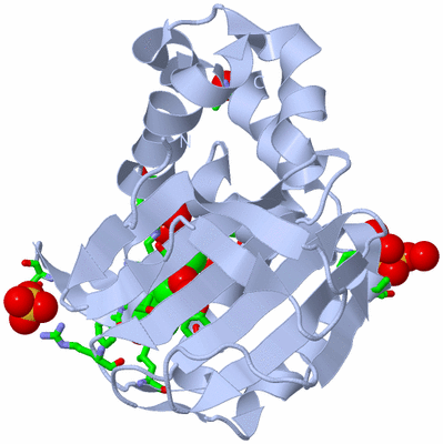 Image Biol. Unit 1 - sites