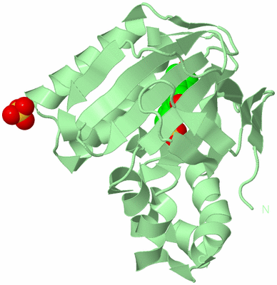 Image Biological Unit 2