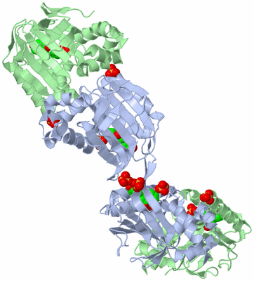 Image Biological Unit 3