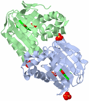 Image Biological Unit 4