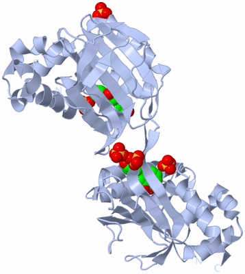 Image Biological Unit 5