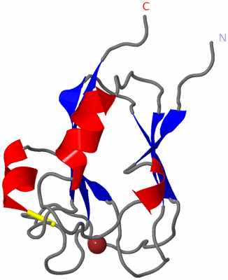Image Asymmetric Unit