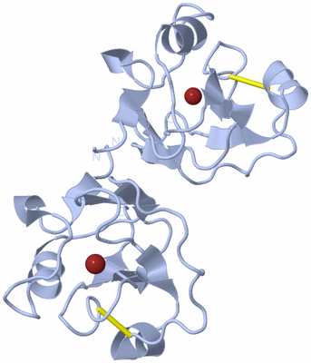 Image Biological Unit 1