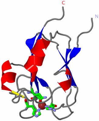 Image Asym. Unit - sites