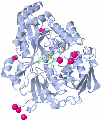 Image Asym./Biol. Unit