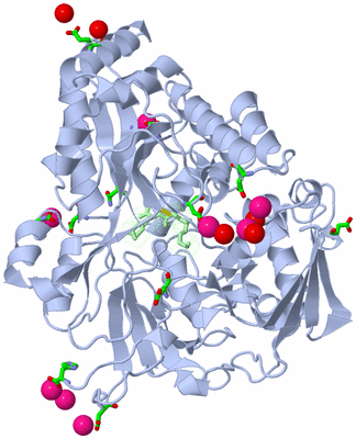 Image Asym./Biol. Unit - sites
