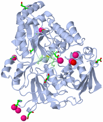 Image Asym./Biol. Unit - sites