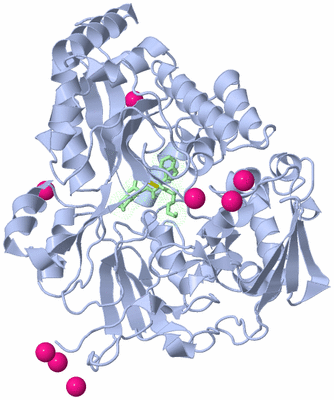 Image Asym./Biol. Unit