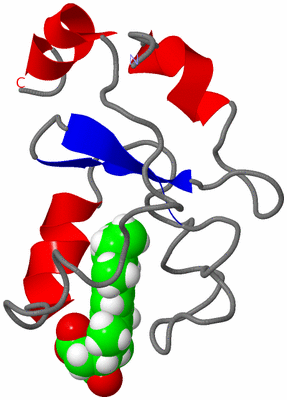Image NMR Structure - model 1