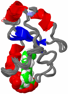 Image NMR Structure - all models