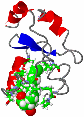 Image NMR Structure - model 1, sites