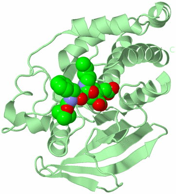 Image Biological Unit 2