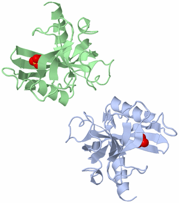 Image Asymmetric Unit