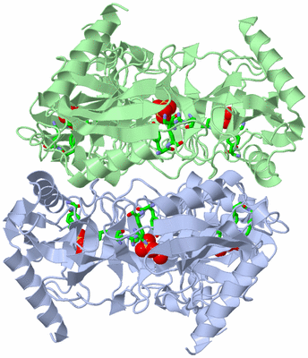 Image Biol. Unit 1 - sites
