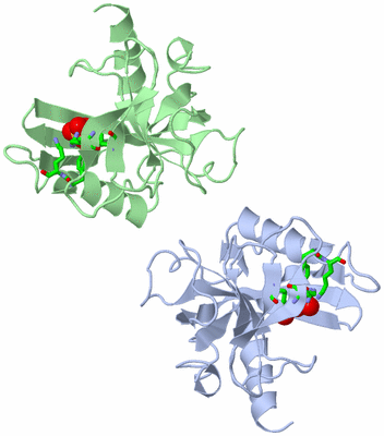 Image Asym. Unit - sites