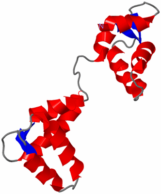 Image NMR Structure - model 1