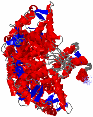 Image NMR Structure - all models