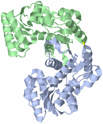 Image Asym./Biol. Unit