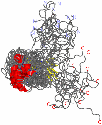 Image NMR Structure - all models