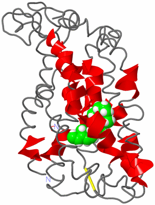 Image NMR Structure - model 1