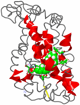 Image NMR Structure - model 1, sites