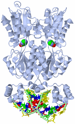 Image Biological Unit 1